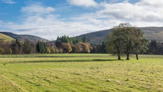 Natural England sets out fresh vision for our natural environment