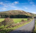 How upland farms have seen benefits from small areas of woodland