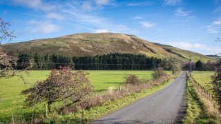 How upland farms have seen benefits from small areas of woodland