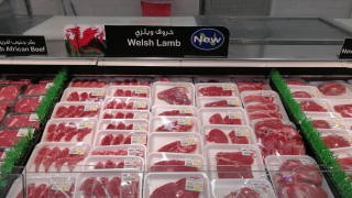 How might Covid-19 impact on dairy and red meat sectors?
