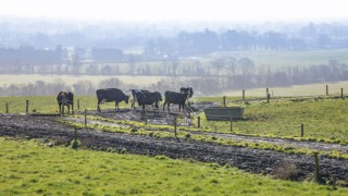 Farmers urged to monitor outwintered livestock