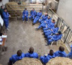 Business Development Groups Scheme closing date extended
