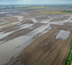 Where did US corn and soybean figures finish?