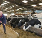 Scottish bovine DNA study offers clues to a longer life