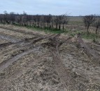Operation Galileo: 5 arrested for affray and damaging crops