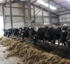 Dairy advice: 3 jobs to get ticked off your to-do list