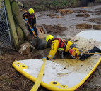 Cattle rescued following close call with slurry store
