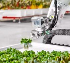 Further £12.5m in funding for robotic ag projects for grabs