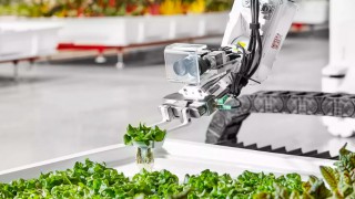 What new schemes will be introduced by the ‘Path to Sustainable Farming’?