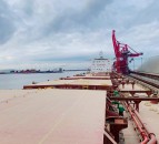 Grain price: EU export pace needs to pick up
