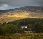 More than 80,000ac to be transformed by land managers across Scotland
