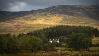 More than 80,000ac to be transformed by land managers across Scotland