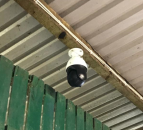 Trying to reduce the workload during springtime? Why not install a camera…