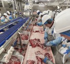 Over 140 workers test positive for Covid-19 at Cranswick Country Foods