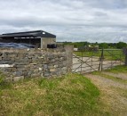 Scottish agriculture to play a 'key role' in climate change - NFU Scotland