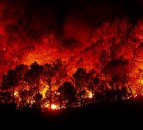 5.5 million hectares of land burnt to date in Australian wildfires