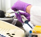 VMD seeks higher scientific officer for supply team
