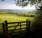 NI total income from farming figures fell by 25% in 2019