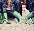 New year, new career: Check out the latest agri jobs on offer