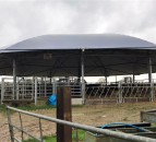 Rearing 600 calves on contract and operating a beef-finishing enterprise in the UK
