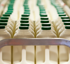 Growing concerns over the impact of the coronavirus on dairy trade