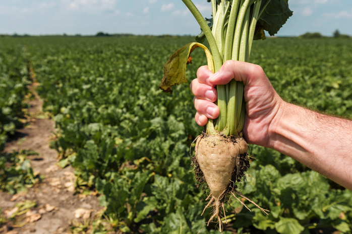Image source: SRUC