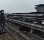 Rural mental health campaign urges farmers to look after themselves