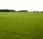 New working group launched to support tenant farmers