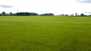 NI agriculture minister confirms £293 million in direct payments