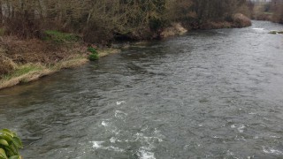 Fivemiletown business fined for water pollution offence