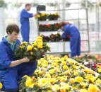 Face-to-face teaching stops at NI’s agricultural college