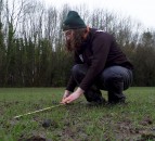 Plant counts a help in making agronomic decisions