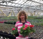 UK's horticultural sector at risk of lockdown ruin