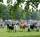 Newry and Lurgan shows cancelled, as well as UK Grassland & Muck event