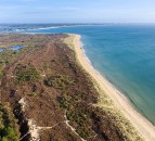UK’s first ‘super’ National Nature Reserve on Purbeck Heaths