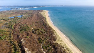 UK’s first ‘super’ National Nature Reserve on Purbeck Heaths