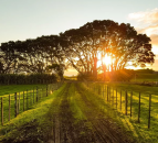 Want to have your say on future NI agricultural policy? Now’s your chance
