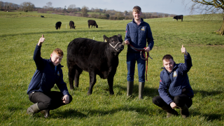 ABP Angus Youth Challenge winners announced on YouTube
