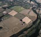 Evidence of dairy diets in Meath…from 4,000 years ago