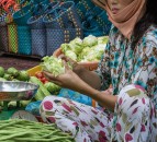 New AHDB report highlights export opportunities