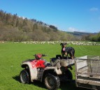 150 attend UK-based 'digital farm walk'