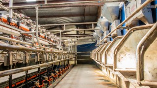 Tips to control your dairy production costs in these challenging times