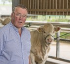 Call for greater transparency in the beef chain