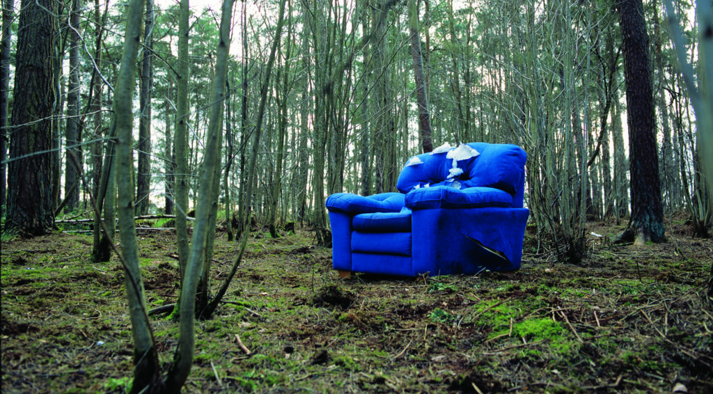 Image-source-Scottish-rural-and-environmental-organisations-Sofa