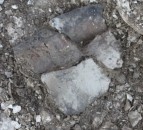 Study traces spread of early dairy farming across western Europe