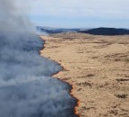 Galloway wildfire spans 15km² of gorse, grassland and forest