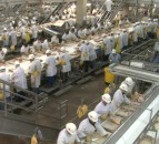 US meat giant on Covid-19: ‘The food supply chain is breaking’