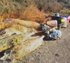 Calf choked to death on litter in Scotland as lockdown sees fly-tipping soar