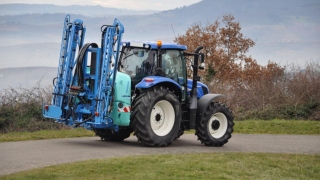 Weed control: When is the best time to spray for best results?
