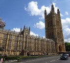 Agriculture Bill defeat a 'severe blow' for animal welfare - BVA